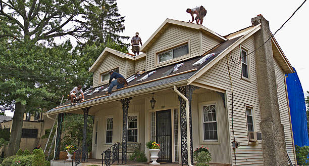 Best Gutter Installation and Roofing  in Rutherford College, NC
