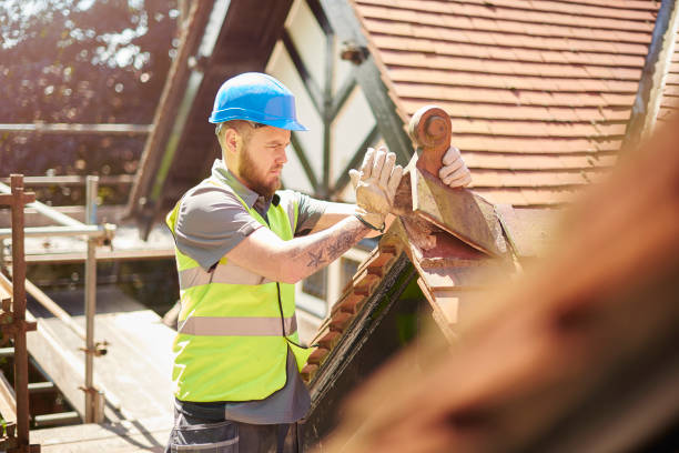 Best Roof Repair Services  in Rutherford College, NC