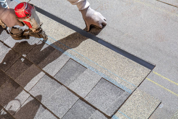 Best Metal Roofing Contractor  in Rutherford College, NC